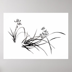 Chinese Iris in het voorjaar Poster