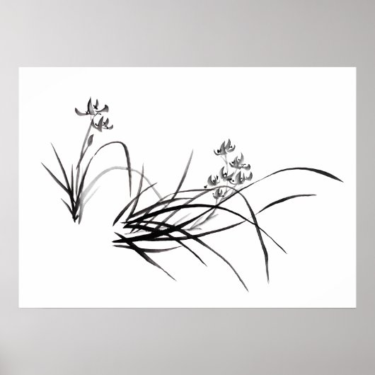 Chinese Iris in het voorjaar Poster (Voorkant)