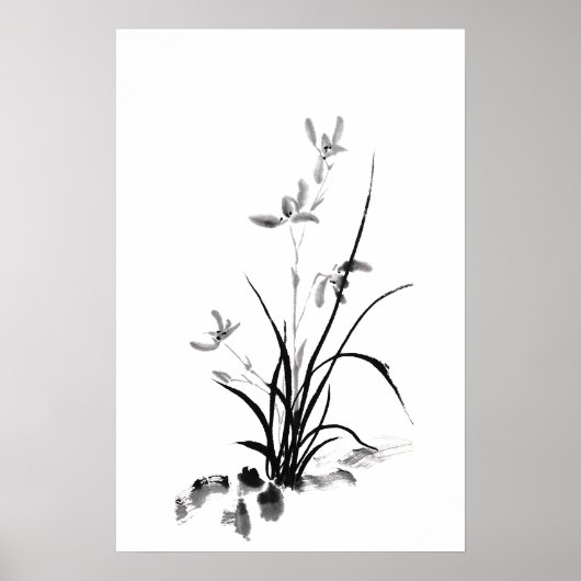 Chinese Iris - zw Poster (Voorkant)