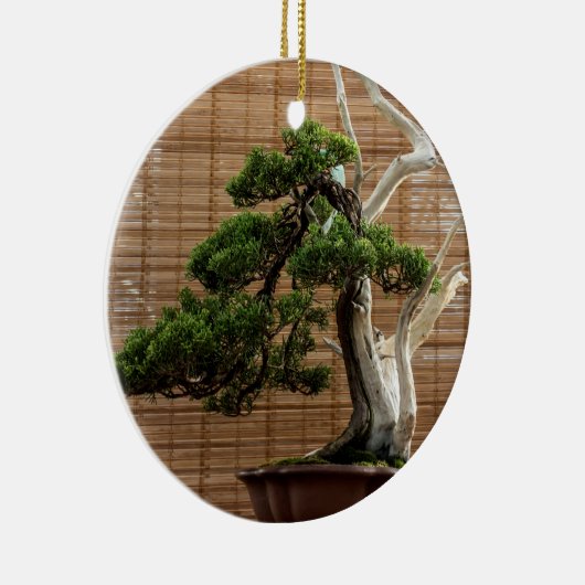 Chinese jeneverbes bonsai boom foto keramisch ornament (Rechts)