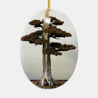 Chinese Juniper Bonsai-boom Keramisch Ornament