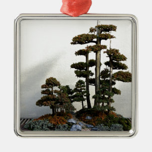 Chinese Juniper Bonsai Trees Metalen Ornament