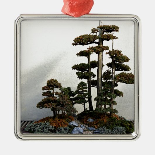 Chinese Juniper Bonsai Trees Metalen Ornament (Voorkant)