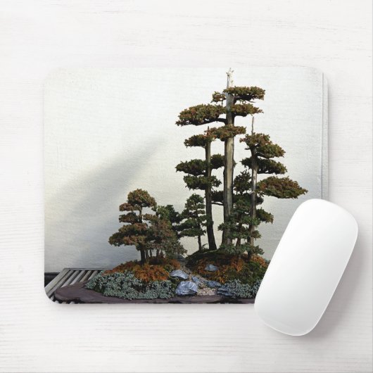 Chinese Juniper Bonsai Trees Muismat (Met muis)