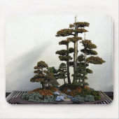 Chinese Juniper Bonsai Trees Muismat (Voorkant)