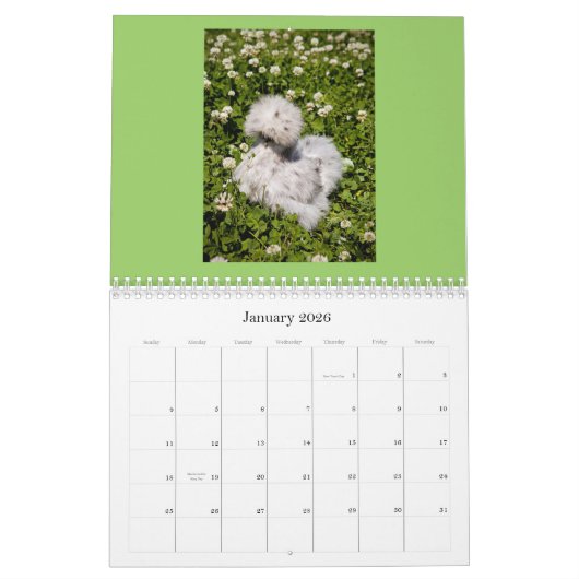 Chinese kalender voor Silkie en Showgirl (Jan 2026)