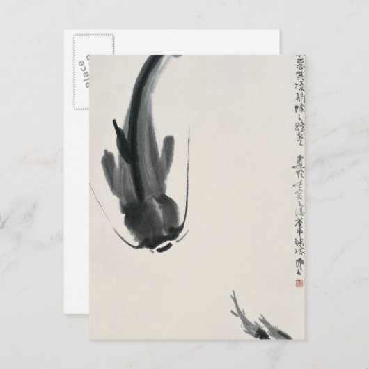 Chinese katvis briefkaart (Voorkant / Achterkant)