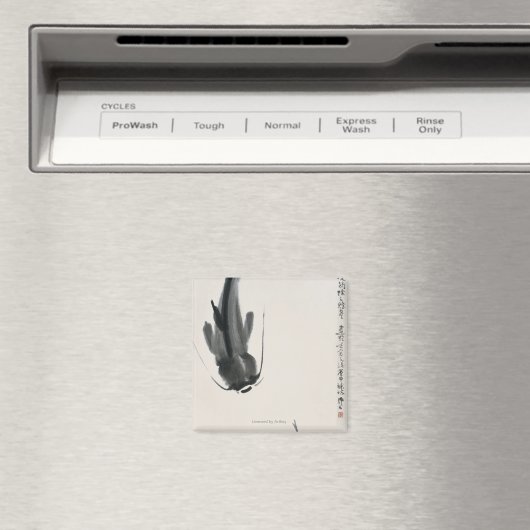 Chinese katvis magneet (Insitu (Vaatwasser))