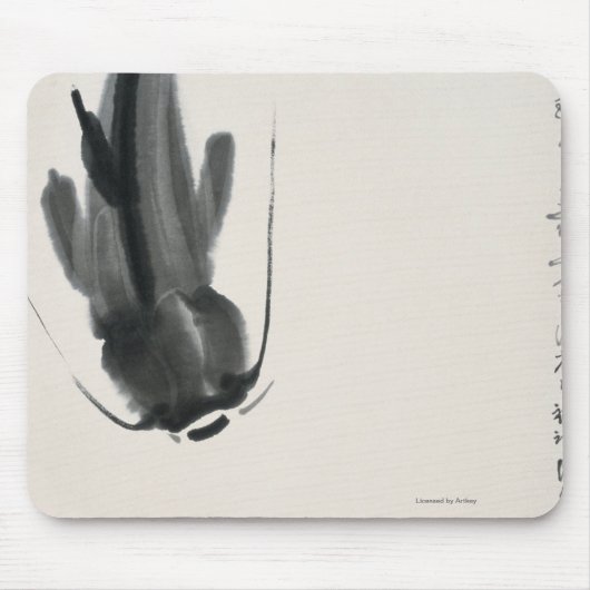 Chinese katvis muismat (Voorkant)