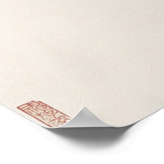 Chinese katvis poster (Hoek)