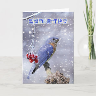 chinese kerstkaart - blauwe vogel met bessen en be feestdagen kaart
