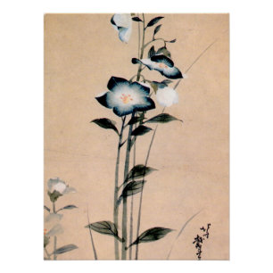 Chinese klokbloem, Hokusai Ukiyo-e Perfect Poster