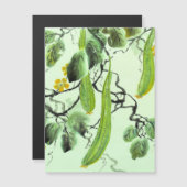 Chinese komkommer (Voorkant / Achterkant)