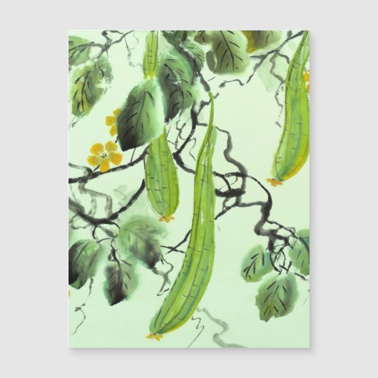 Chinese komkommer (Voorkant)