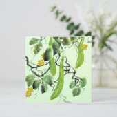 Chinese komkommer (Staand voorkant)