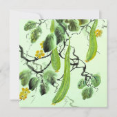 Chinese komkommer (Voorkant)