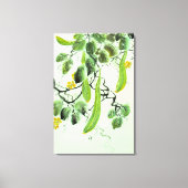 Chinese Komkommer Canvas Afdruk (Voorkant)