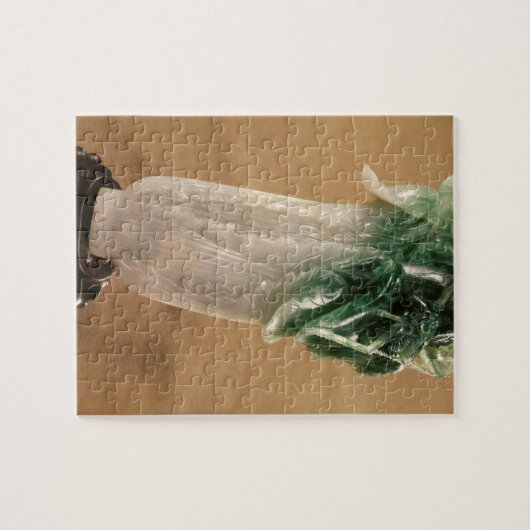 Chinese kool, Koreaans, 19e eeuw (jade) Legpuzzel (Horizontaal)