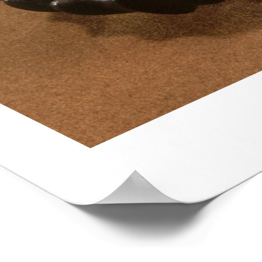 Chinese kool, Koreaans, 19e eeuw (jade) Poster (Hoek)