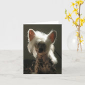 Chinese kreupelhond kaart (Gele Bloem)