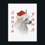 Chinese kuif (poeder) Santa Paws Feestdagenkaart<br><div class="desc">Je favoriete kersthond speelt Sinterklaas ~ of Santa Paws. Dit leuke ontwerp van AKC hondenras,  Wire Chinese Crested,  maakt een uniek kerstcadeau op een t-shirt,  ornament,  wenskaart,  mok,  sticker en nog veel meer!</div>