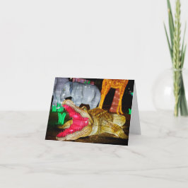 Chinese Lantaarn Art Crocodile Note Kaart