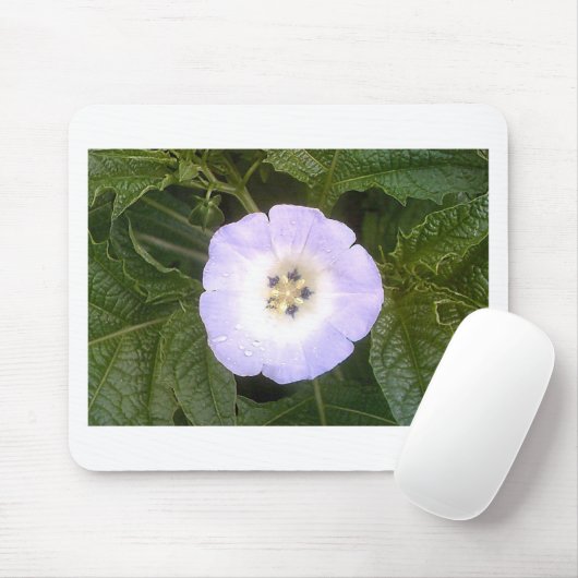 Chinese lantaarn muismat (Met muis)