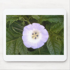 Chinese lantaarn muismat