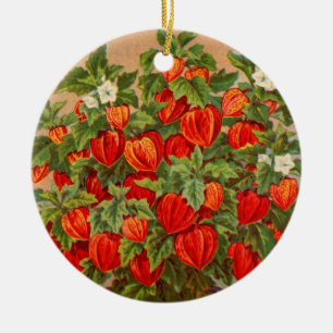 Chinese Lantaarn-Plant Keramisch Ornament