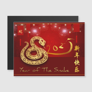 Chinese Lantaarns Vuurwerk Slang Jaar 2025 MC