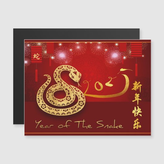 Chinese Lantaarns Vuurwerk Slang Jaar 2025 MC (Voorkant / Achterkant)