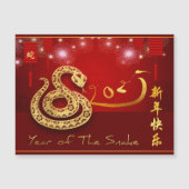 Chinese Lantaarns Vuurwerk Slang Jaar 2025 MC (Voorkant)