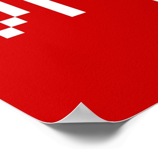 Chinese Loser/Diaosi 屌 Hanzi MEME Poster (Hoek)