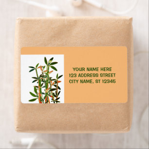 Chinese Lucky Bamboe-Planten, gepersonaliseerd Etiket