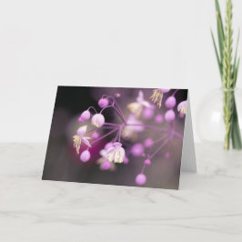 Chinese Meadow Rue Flowers Note Kaart