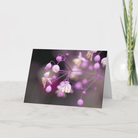 Chinese Meadow Rue Flowers Note Kaart (Voorkant)