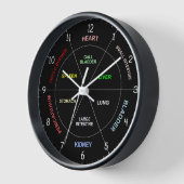 Chinese Medicine TCM Body Organen klokken in het z (Hoek)