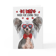 Chinese onechte hond die van je houdt, Valentijn