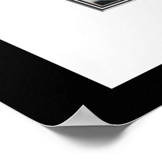 Chinese oude schilderijen, orchideeën poster (Hoek)