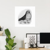 Chinese owl inkttekening poster (Thuiskantoor)