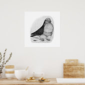 Chinese owl inkttekening poster (Keuken)