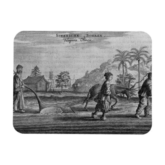 Chinese paasdieren, een algemene beschrijving van magneet (Horizontaal)