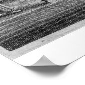 Chinese paasdieren, een algemene beschrijving van  poster (Hoek)