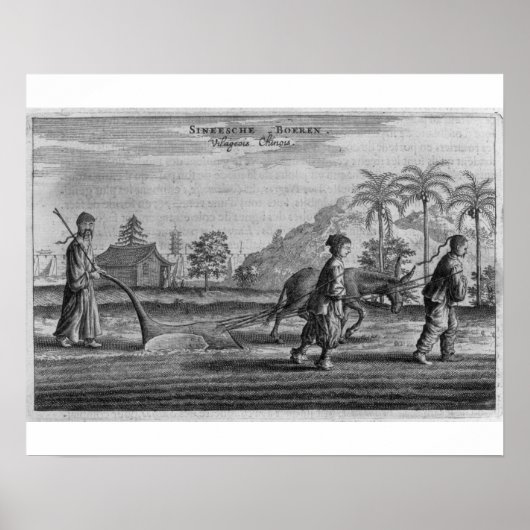 Chinese paasdieren, een algemene beschrijving van  poster (Voorkant)