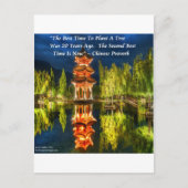 Chinese pagode en Natuur proverb Briefkaart (Voorkant)