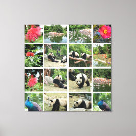 Chinese panda's, pauw, vlamingo kuddes, bloemen canvas afdruk