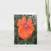 Chinese papaver... kaart (Voorkant)