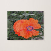 Chinese papaver.... legpuzzel (Horizontaal)