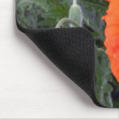 Chinese papaver.... muismat (Hoek)