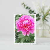 Chinese pony [Briefkaart] ポ ス カ ー ド Briefkaart (Staand voorkant)